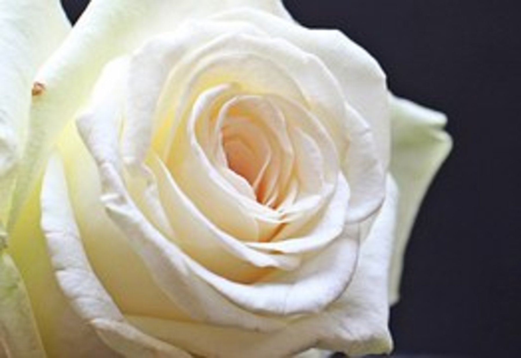 Background-Image